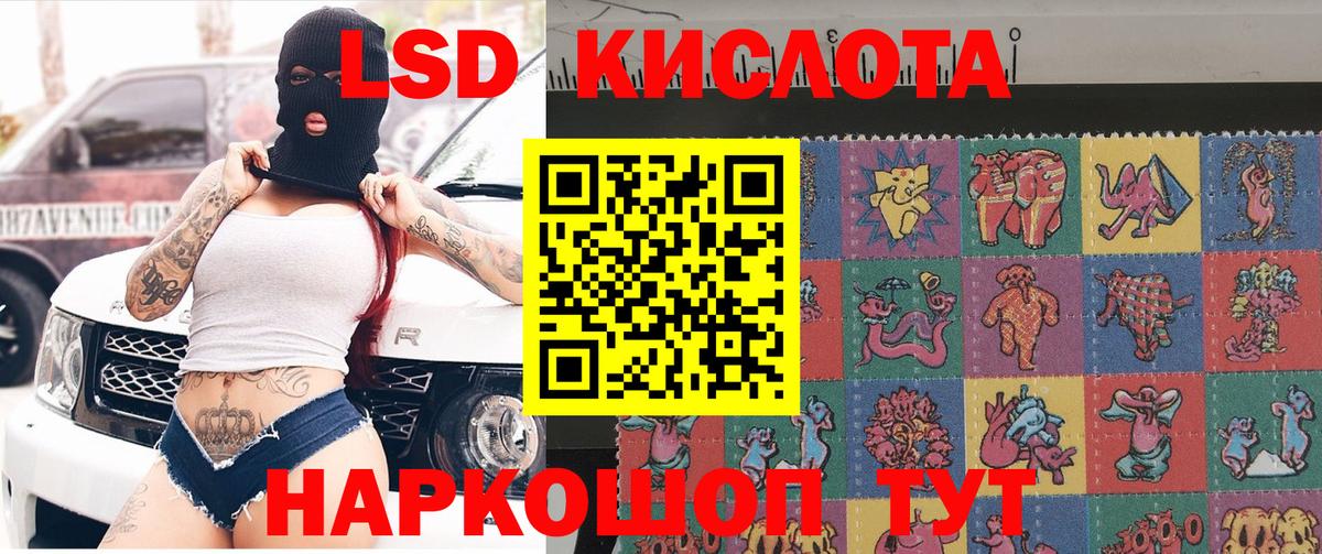 Лсд 25 Елизово